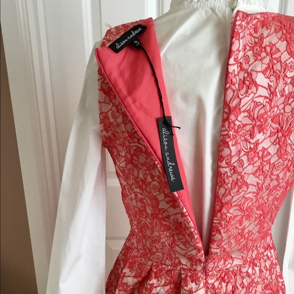 Alisou Amderews Fuschia Night Lace Dress - Picture 7 of 7